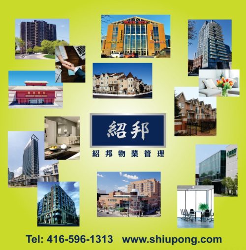 shiupong_ad